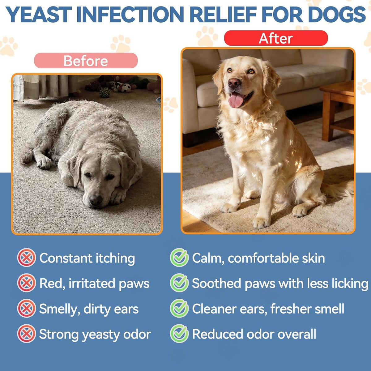 Dog Ear & Skin Support Drops - Natural Daily Formula For Itch & Comfort Care